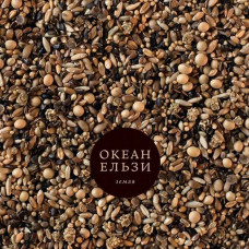 Вінілова платівка Океан Ельзи – Земля (LP, 45 RPM, Album, Brown Swirl Vinyl)