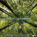 Вінілова платівка Relaxing Classic (LP, Compilation, Vinyl)