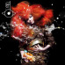 Bjork – Biophilia (2EP, 12", Album, 180 Gram, Vinyl)