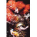 Bjork – Biophilia (MC, Album, Limited Edition, Orange Cassette)