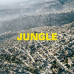 The Blaze – Jungle (LP, Album, Vinyl)
