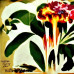 Jungle – Good Times / Problemz (EP, 12", 45 RPM, Record Store Day, Single, Vinyl)