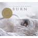 Lisa Gerrard – Burn (CD, Album)