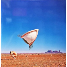 Вінілова платівка The Cranberries – Bury The Hatchet (2LP, Album, Limited Edition, Vinyl)