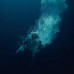 Lapsley – Through Water (CD, Album)