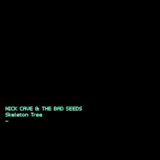 Вінілова платівка Nick Cave & The Bad Seeds – Skeleton Tree (LP, Album, Vinyl)