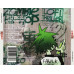 Gorillaz – Gorillaz (CD, Album)