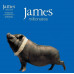 James – Millionaires (2LP, Album, 180g, Vinyl)