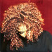 Janet Jackson – The Velvet Rope (2LP, Album, Vinyl)