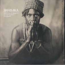 Вінілова платівка Shabaka Hutchings – Perceive Its Beauty, Acknowledge Its Grace (LP, Album, Vinyl)