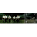 Rammstein – Reise, Reise (CD, Album)