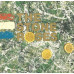 The Stone Roses – The Stone Roses (LP, Album, Vinyl)