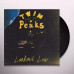 Twin Peaks – Lookout Now (LP, Album, Vinyl)