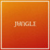 Jungle – Volcano (LP, Album, Vinyl)