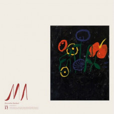 Devendra Banhart – Ma (LP, Album, Vinyl)