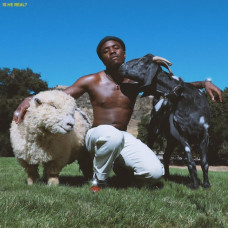 IDK – Is He Real? (LP, Album, Vinyl)