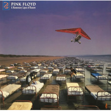 Pink Floyd – A Momentary Lapse Of Reason (Remixed & Updated) (2LP, 45 RPM, Album, 180 Gram, Vinyl)