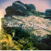 Band Of Horses – Mirage Rock (Album, CD)