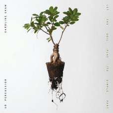 Caroline Shaw, So Percussion – Let The Soil Play Its Simple Part (LP, Stereo, Clear Vinyl)