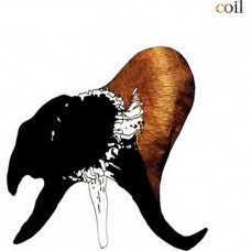 Coil – Black Antlers (2LP, Album, Vinyl) Coil – Black Antlers (2LP, Album, Vinyl)