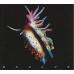 Sub Focus – Evolve (CD, Album)