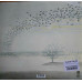 Genesis – Wind & Wuthering (LP, Reissue, Vinyl)