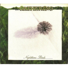 The Gathering - Nighttime Birds (LP, Album, Vinyl) The Gathering - Nighttime Birds (LP, Album, Vinyl)