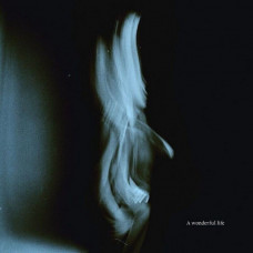 Tom Odell - A Wonderful Life (LP, Album, Vinyl)