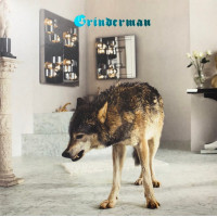 Grinderman – Grinderman 2 (LP, Album, Bioplastic, Reissue)