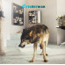 Grinderman – Grinderman 2 (LP, Album, Bioplastic, Reissue)