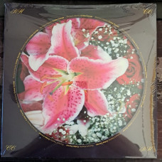 Richard Hawley - Coles Corner (LP, Album, Limited Edition, Picture Disc, Reissue, Stereo, 1/2 Speed Mastered, Zoetrope Vinyl)