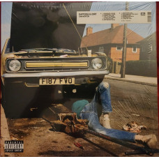 Sam Morton – Daffodils & Dirt (LP, Album)