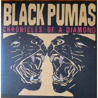 Black Pumas – Chronicles Of A Diamond (LP, Album, Stereo, Gold & White w/ Red Splatter)
