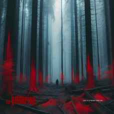 Gathering - Live At Dynamo Open Air (LP, Marbled Black & Purple Vinyl, Limited Edition, Insert) Gathering - Live At Dynamo Open Air (LP, Marbled Black & Purple Vinyl, Limited Edition, Insert)