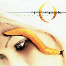 A Perfect Circle - Thirteenth Step (2 LP, Album, Vinyl)