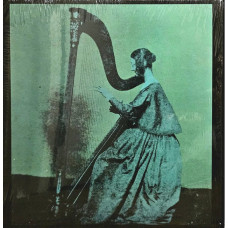 TV Girl – Grapes Upon The Vine (LP, Album, Stereo) TV Girl – Grapes Upon The Vine (LP, Album, Stereo)