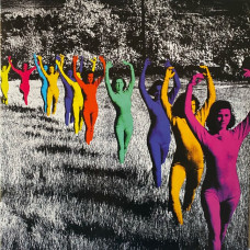 TV Girl - Death Of A Party Girl (LP, Album, Limited Edition, Reissue, Translucent Black w Splatter, Vinyl) TV Girl - Death Of A Party Girl (LP, Album, Limited Edition, Reissue, Translucent Black w Splatter, Vinyl)