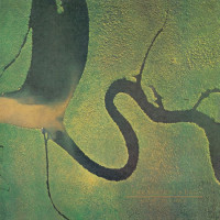 Dead Can Dance – The Serpent's Egg (LP, Album, Reissue, Vinyl) Dead Can Dance – The Serpent's Egg (LP, Album, Reissue, Vinyl)