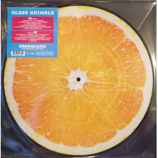 Glass Animals – Dreamland (LP, Album, Picture Disc, Tangerine edition Vinyl)