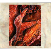 Coil – Swanyard (2CD, Reissue)