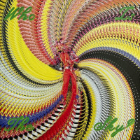 David Byrne With Ghost Train Orchestra – Who Is The Sky? (LP, Album, Limited Edition, Green [Apple Green], Vinyl)