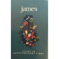 James – Living In Extraordinary Times (MC, Album)