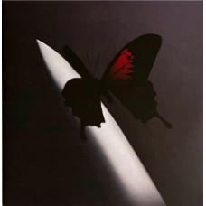 Post Malone – Twelve Carat Toothache (2LP, Album, Red Marbled, Gatefold, Vinyl) Post Malone – Twelve Carat Toothache (2LP, Album, Red Marbled, Gatefold, Vinyl)