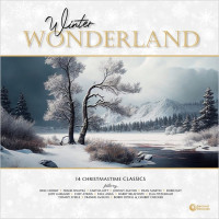 Various – Winter Wonderland (14 Christmastime Classics) (LP, Compilation, 180 gram, Vinyl) Various – Winter Wonderland (14 Christmastime Classics) (LP, Compilation, 180 gram, Vinyl)
