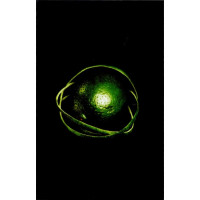 Big Thief – Double Infinity (Cassette, Album) Big Thief – Double Infinity (Cassette, Album)