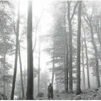 Taylor Swift – Folklore (CD, Album, Deluxe Edition, "In The Trees") Taylor Swift – Folklore (CD, Album, Deluxe Edition, "In The Trees")