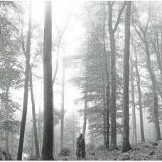 Taylor Swift – Folklore (CD, Album, Deluxe Edition, "In The Trees")