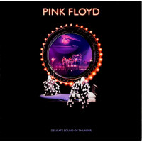 Pink Floyd – Delicate Sound Of Thunder (3LP, Album, Reissue, 180g, Vinyl) Pink Floyd – Delicate Sound Of Thunder (3LP, Album, Reissue, 180g, Vinyl)