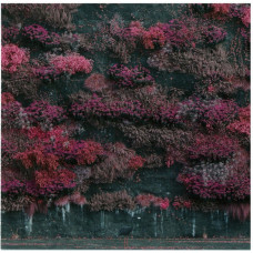 Sleep Token – Even In Arcadia (CD, Album)