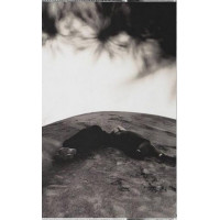 Rhododendron - Ascent Effort (MC, Cassette)